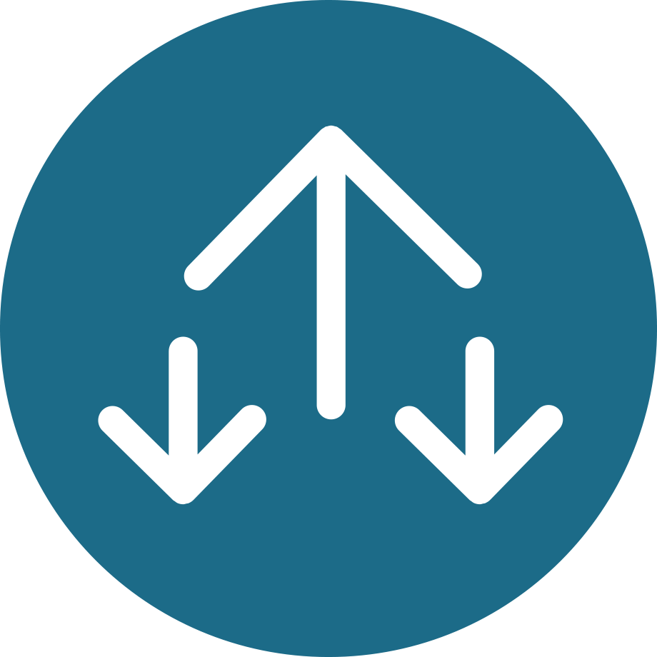 Agentes Aduanales Americanos